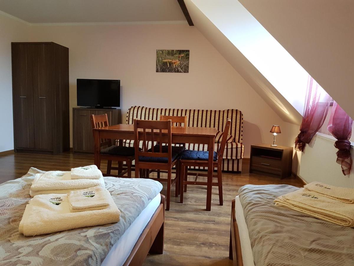 Appartement Kamienna Polana à Szczytna Extérieur photo