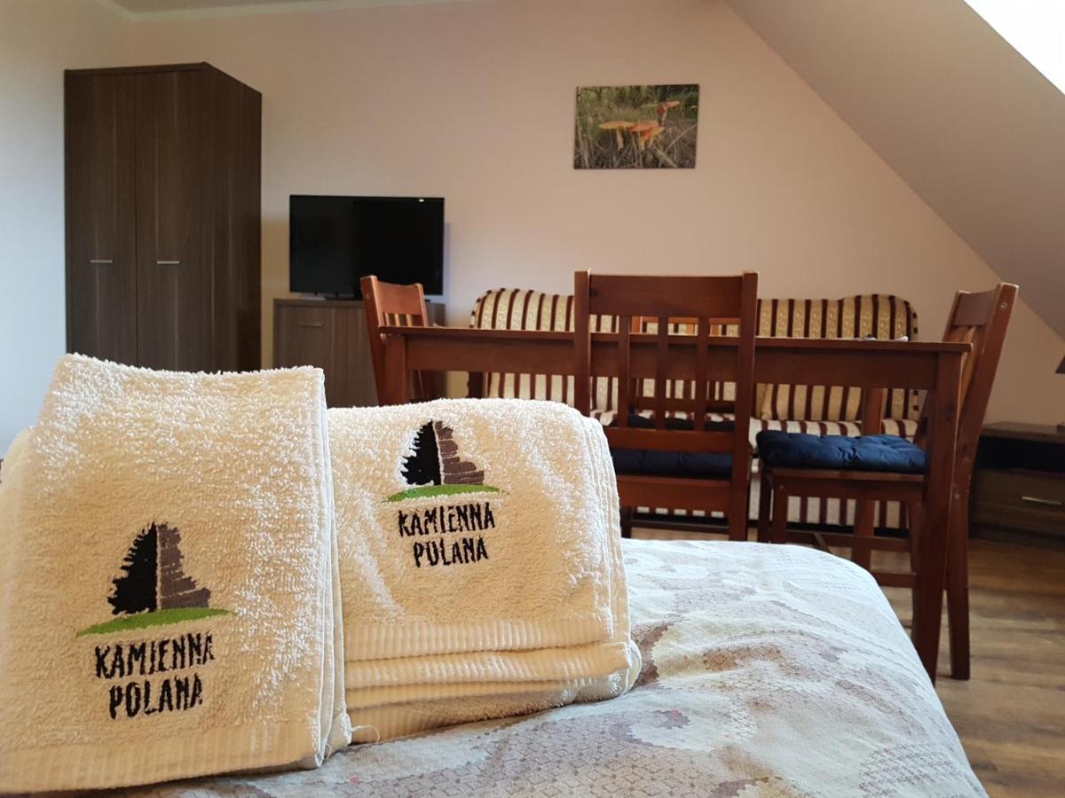 Appartement Kamienna Polana à Szczytna Extérieur photo